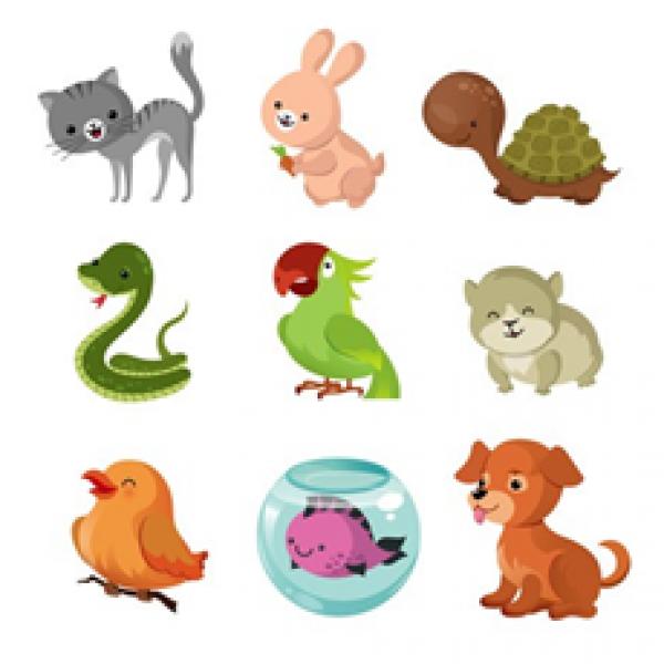 ANIMALS