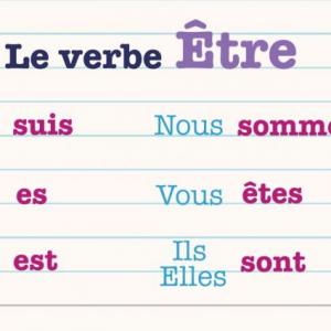 Imagen de portada del videojuego educativo: Verbe être, de la temática Idiomas