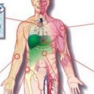 TEJIDOS DEL CUERPO HUMANO