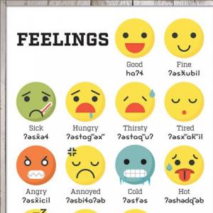 FEELINGS