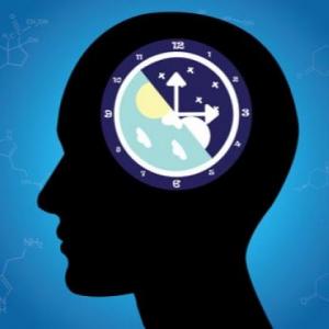 Imagen de portada del videojuego educativo: Ritmo Biológico , de la temática Ciencias