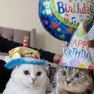 Portada del juego Happy B-day 2.0 – Festividades