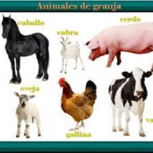 Animales de granja