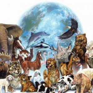 ¿Cuánto sabes sobre animales?