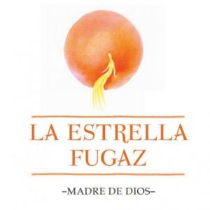 La estrella fugaz