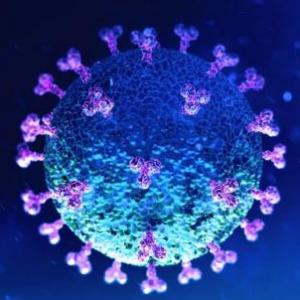 BIO