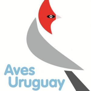 ¿Cuánto conoces de las aves del Uruguay?