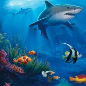 ANIMALES DEL FONDO DEL MAR