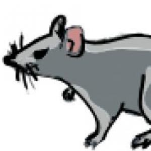 Vías de contaminación de los alimentos