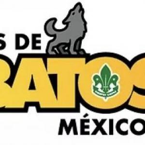 Actividades fijas y variables