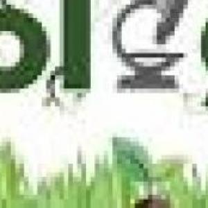 Biologia Divertida