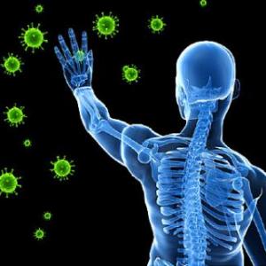 Learn about the Immune System (science)
