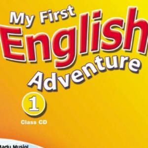 Portada del juego BODY PARTS IN PAIRS – Idiomas