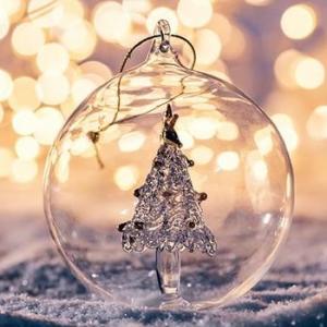 Navidad Panchi 2020 