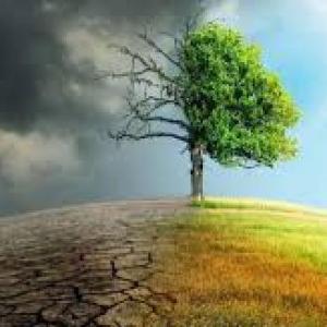 Etica, Naturaleza y Sociedades QUINTO GRADO