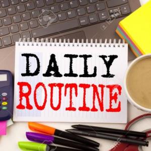Daily Routine