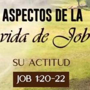 Vida de Job