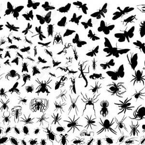 vectores biologicos