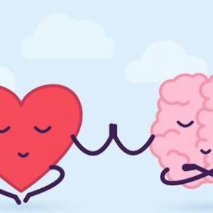 Imagen de portada del videojuego educativo: Vive saludable, de la temática Salud