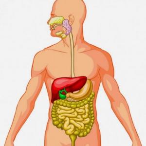 Enfermedades del Sistema digestivo