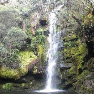 TRIVIA DEL RÍO BOGOTÁ