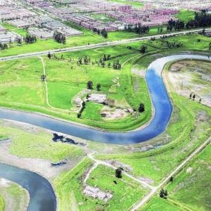 Fauna and flora of the Bogota river