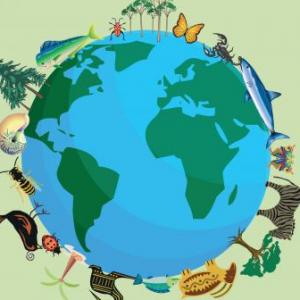 OCA BIODIVERSIDAD 