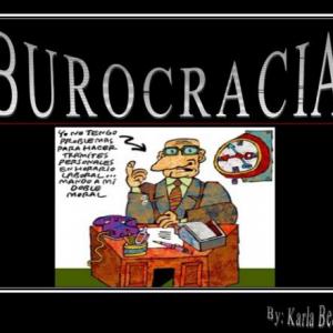 TEORIA DE LA BUROCRACIA