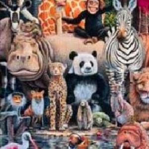 memoria de animales