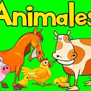 DESCUBRE ANIMALES