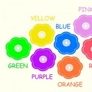 Discover the color