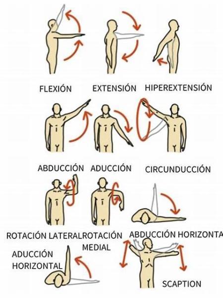 movimientos