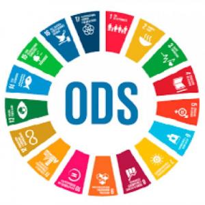 Objetivos de Desarrollo sostenible. Agenda 2030