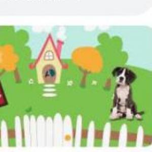 ANIMALES DOMÉSTICOS