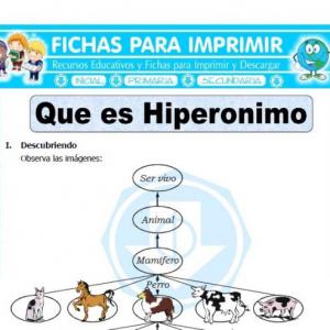 Imagen de portada del videojuego educativo: Hiperonimia- Hiponimia, de la temática Lengua