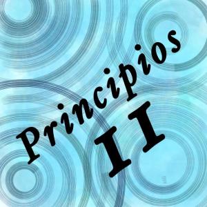 Los Principios Universales