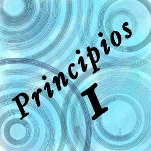 Principios gemelos