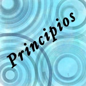 Los Principios