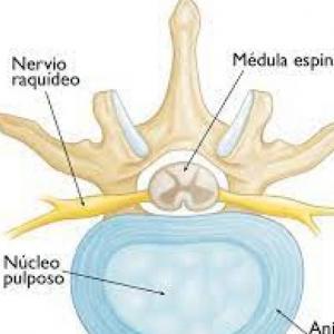 MÉDULA ESPINAL