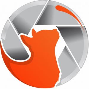 Funciones y responsabilidades del VIGÍA/COPASST de CATCOM S.A.S.