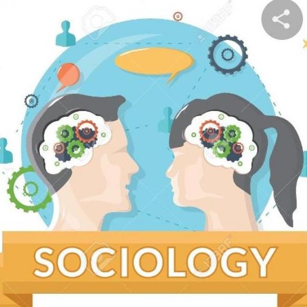 Triviador Sociología