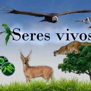 SERES VIVOS