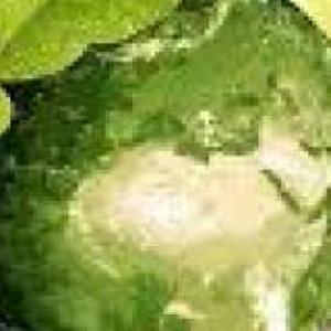 cuidado del medio ambiente