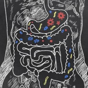 Histología y Exploración del Sistema Gastrointestinal