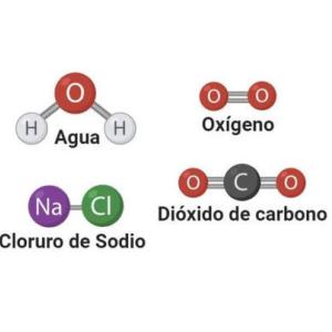 Biomoléculas inorgánicas