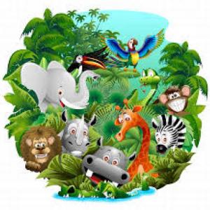 WILD ANIMALS