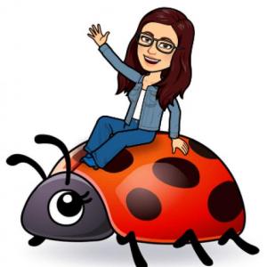 LADYBUG GAME