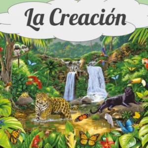 La creación