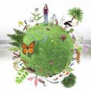 Un viaje por la Biodiversidad