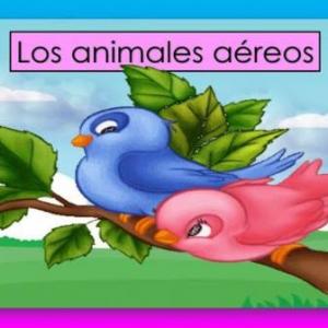 Animales aéreos 